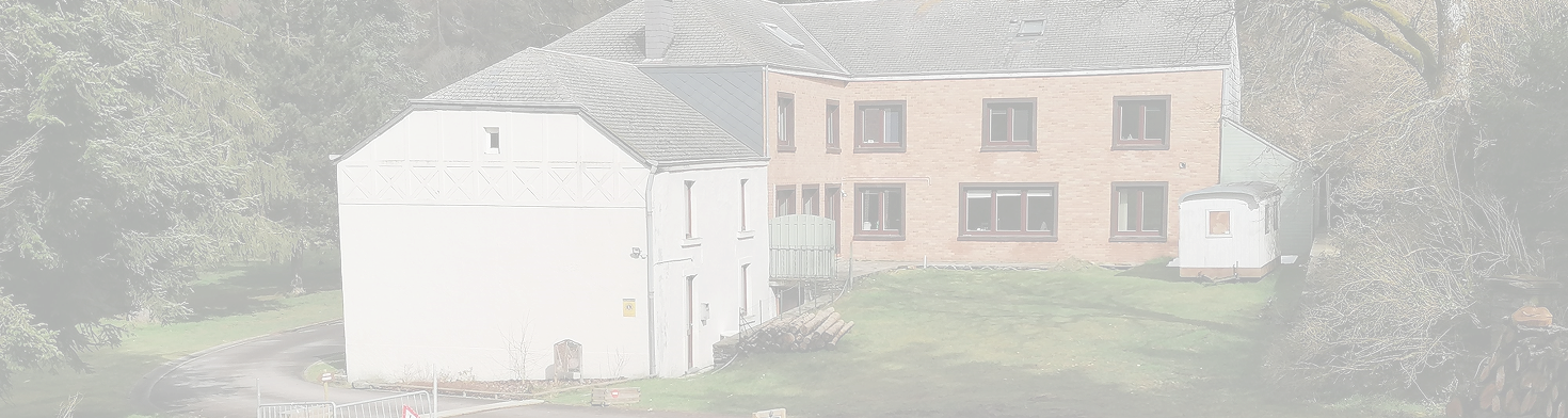 Vue de la maison du vieux moulin et de l'edelweiss